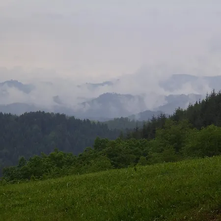 Schwarzwald Schwarzwalddorf Kniebis