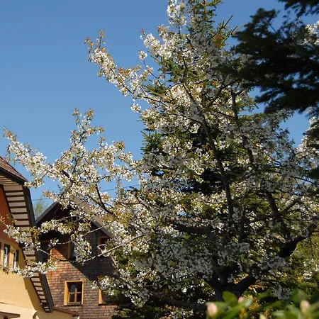 Hotel Schwarzwald 4*