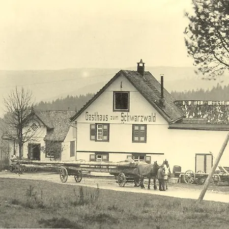 Schwarzwald Schwarzwalddorf Kniebis