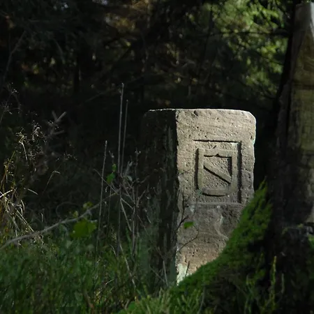 Hotel Schwarzwald 4*