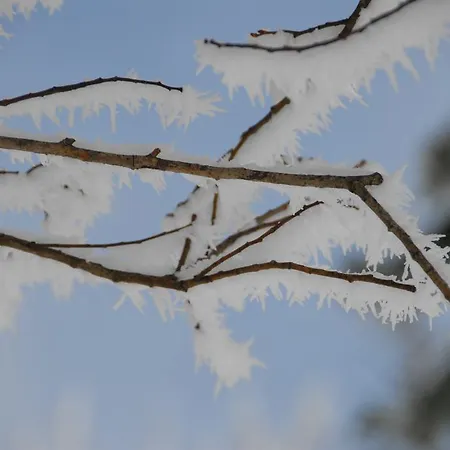 Hotel Schwarzwald Kniebis